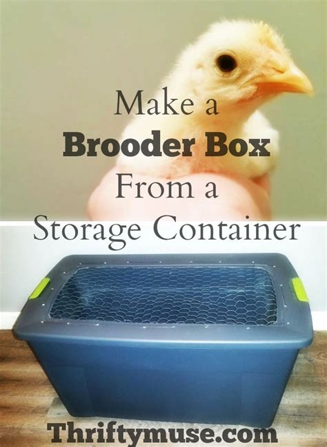 make your own brooder box